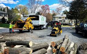 Best Fruit Tree Pruning  in Ocean Acres, NJ