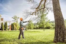 Best Tree Preservation Services  in Ocean Acres, NJ