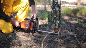 Best Utility Line Clearance  in Ocean Acres, NJ